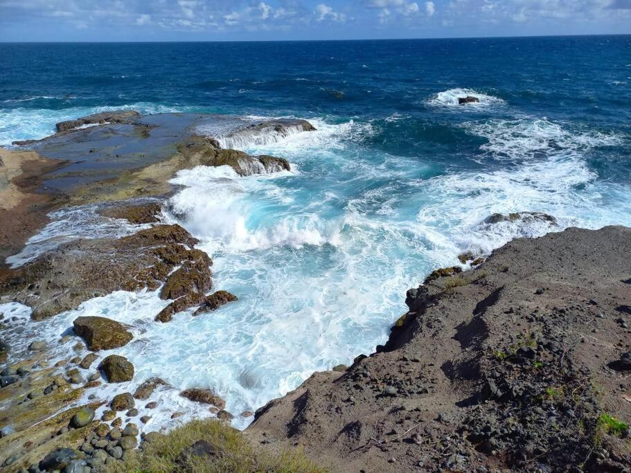 Entre Foret Et Mer Gros-Morne 外观 照片